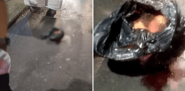 Hallazgo de unan cabeza humana en el sector del terminal terrestre de&nbsp;Puyo