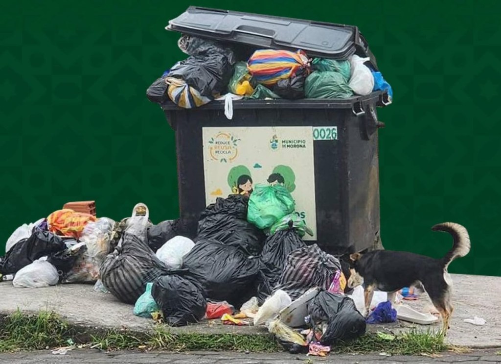 Macas: Denuncian acumulación de desechos en&nbsp;contenedores