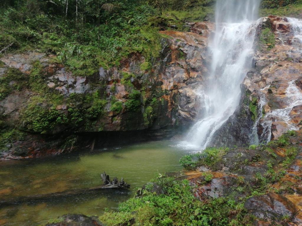 Morona: Visita las cascadas de Musap, en&nbsp;Cuchaentza