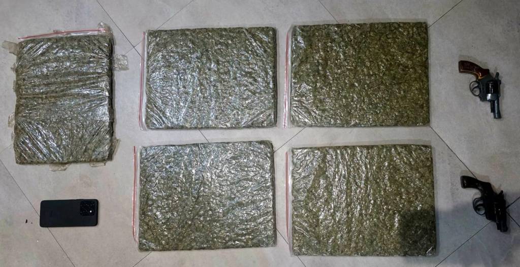 Una mujer fue hallada con armas y droga durante operativo policial