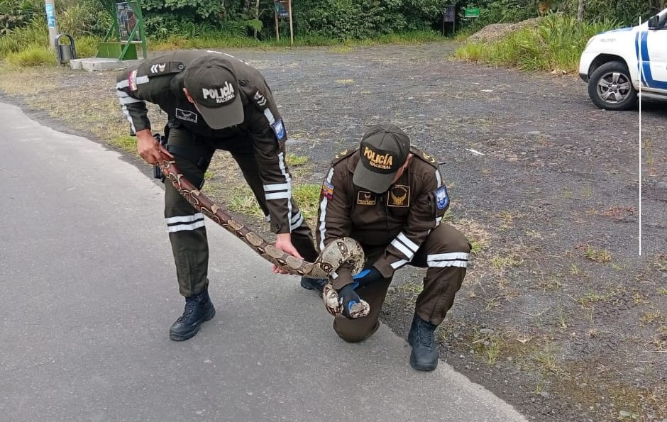 Operativos policiales dejan tres detenidos y dos adolescentes aislados en Morona&nbsp;Santiago